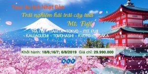 Vẻ đẹp của Nhật Bản “hút hồn” biết bao du khách hãy trải nghiệm ngay với KLF Travel