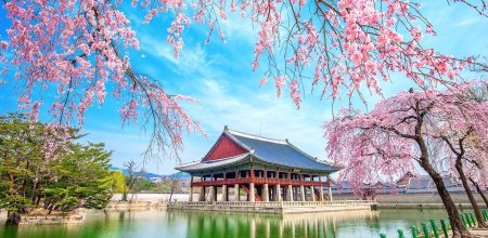 Seoul – Nami – Lotte World – Starfield Library – Namsan Tower